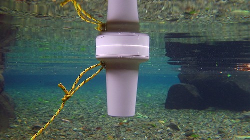 防水型無線水温計 SK-310BT 写真は、熊本県宇土市にある 轟水源にて撮影しました。