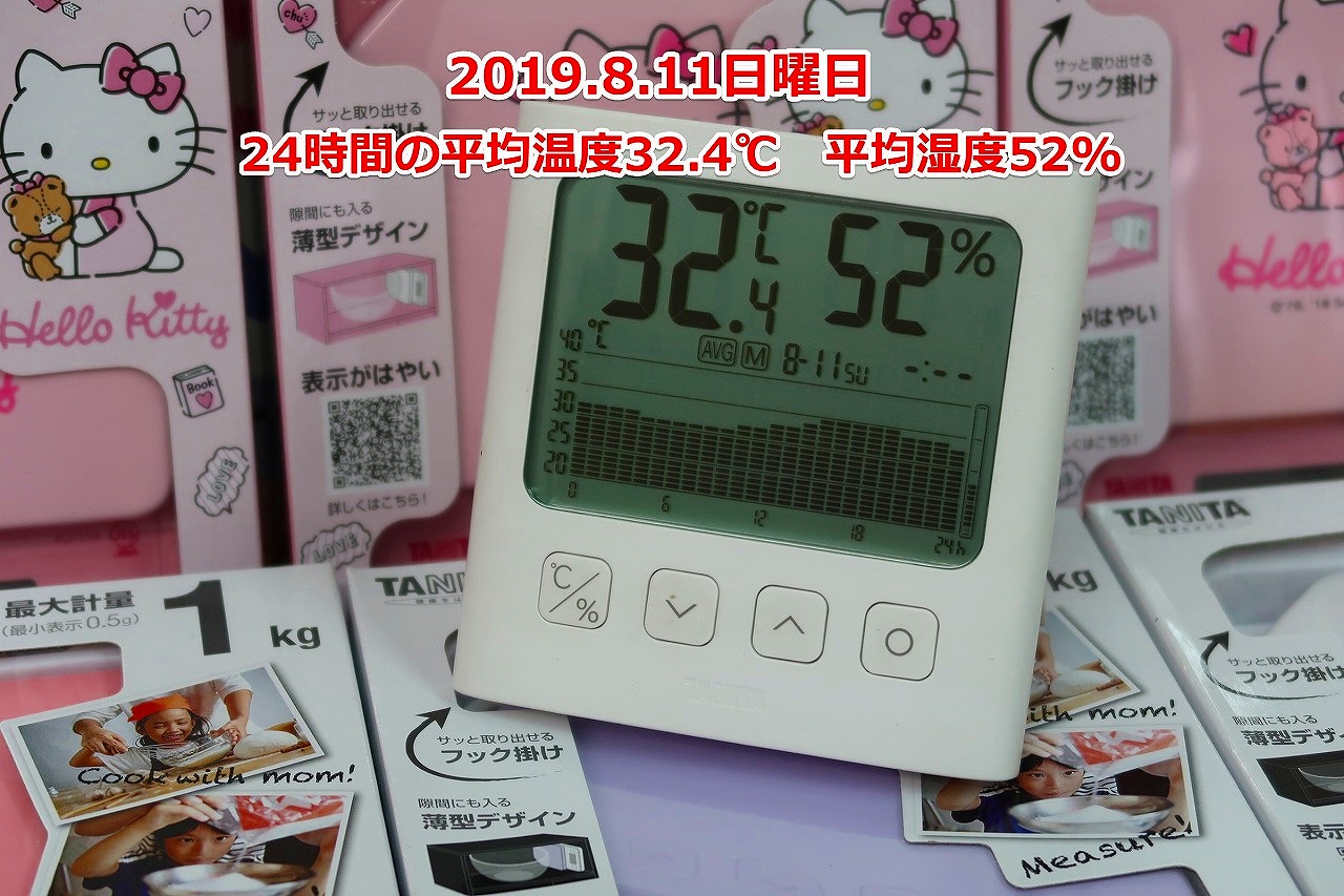 TT-581 �O���t�t���f�W�^�������x�v