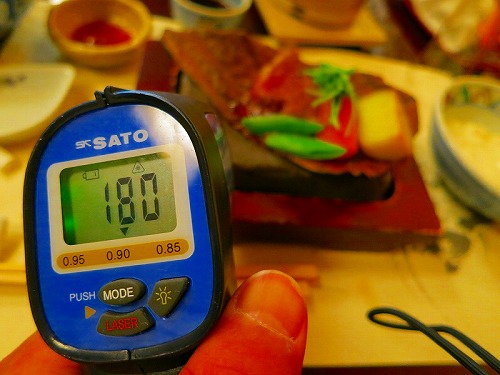 赤外線放射温度計 SK-8900