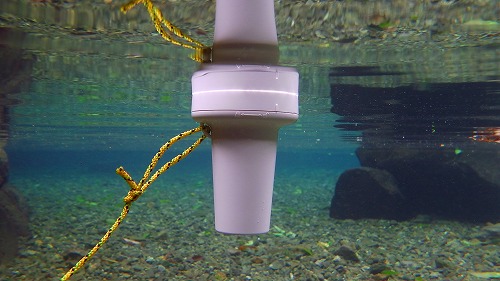 防水型無線水温計 SK-310BT　写真は、熊本県宇土市にある　轟水源にて撮影しました。
